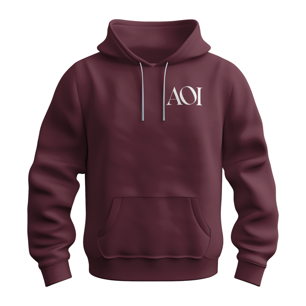 AOI Logo Hoodie (Front Only)