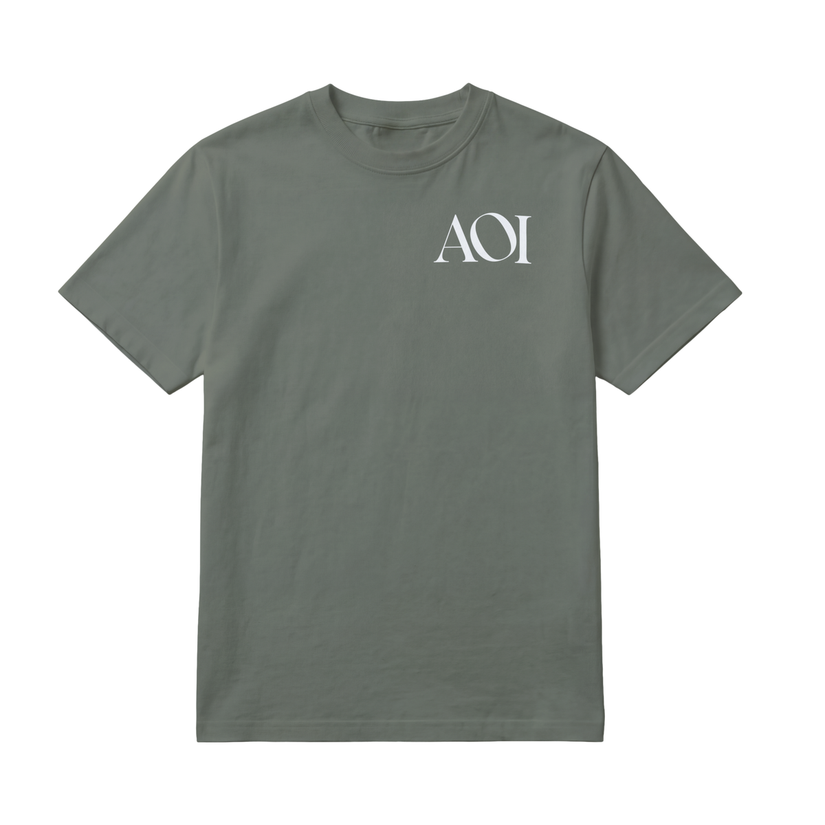 AOI Logo (Front Only)