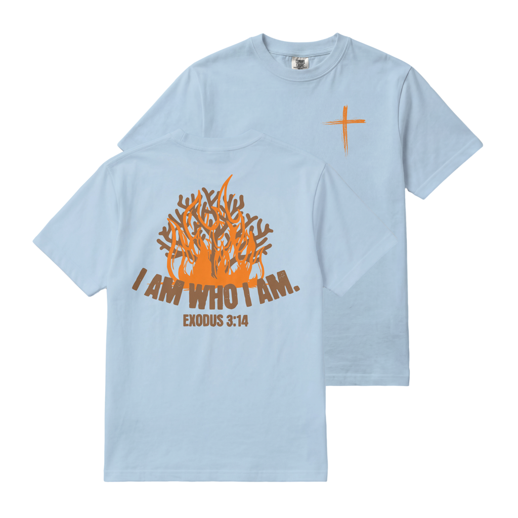 I AM who I AM Exodus 3:14